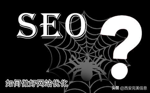 网站为什么要进行SEO（网站seo如何做好）