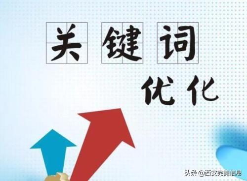 网站为什么要进行SEO（网站seo如何做好）