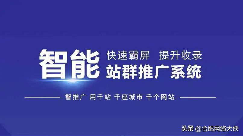 网站城市分站的优势（seo网站数据分析）