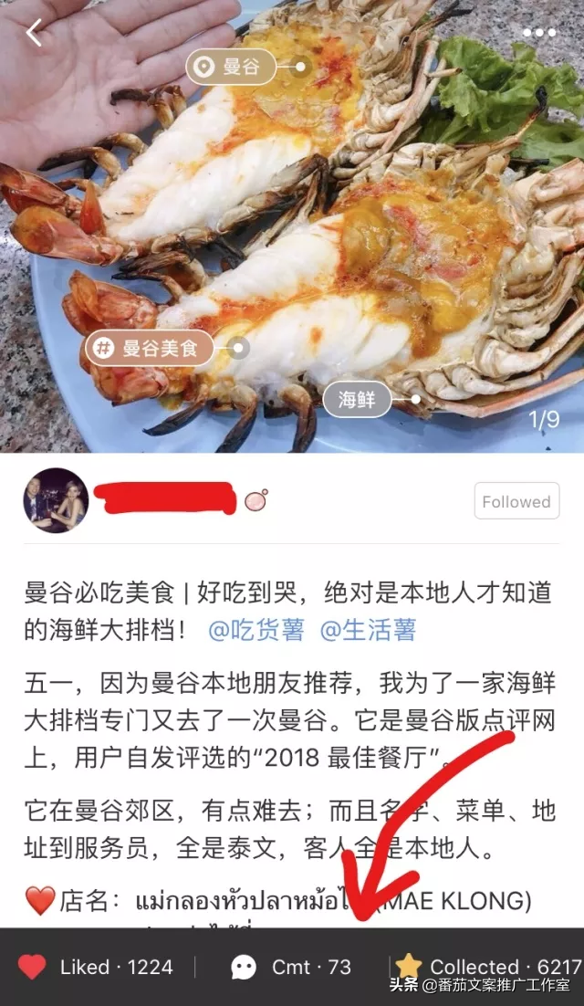 小红书运营推广技巧（小红书推广的方式）