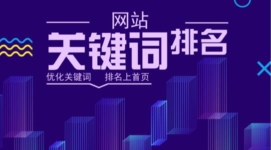 怎么seo网站关键词优化（seo关键词排名优化技巧）