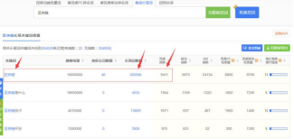 seo文章关键词策略（网站关键词快速排名技术）