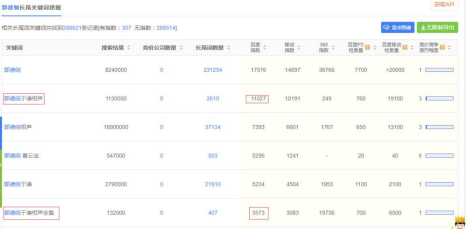 seo文章关键词策略（网站关键词快速排名技术）