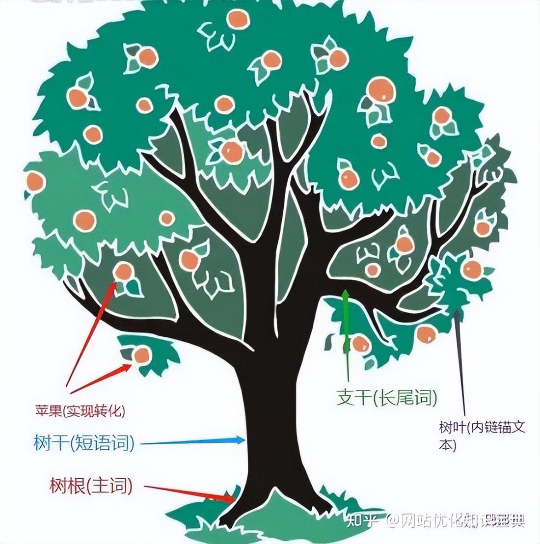 关键词快速排名seo怎么优化（seo关键词优化提高网站排名）