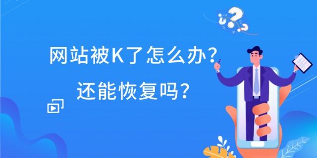 为什么seo要做外链优化（seo如何优化问答网站）