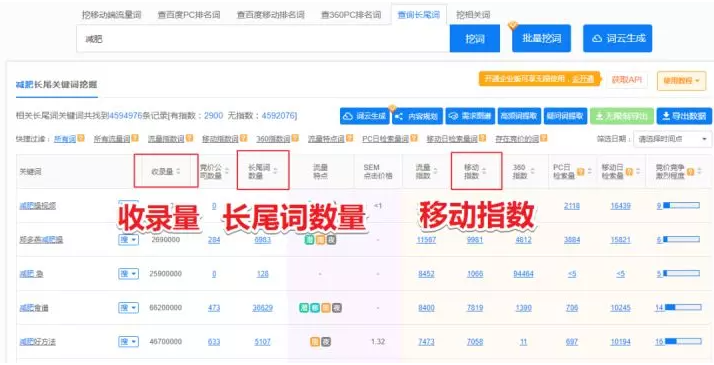 seo关键词优化的技巧有哪些（seo关键词是怎么优化的）