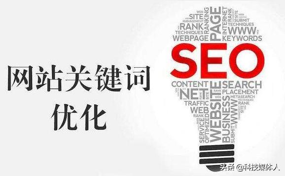 为什么要进行SEO优化（网站为什么要优化）