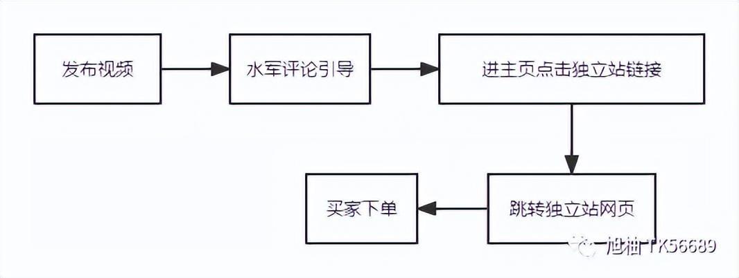 海外版抖音tiktok带货（海外版抖音tiktok怎么用）