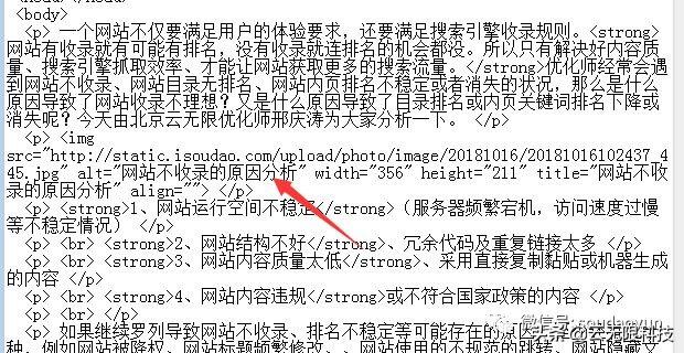 网站优化技巧分享（seo教程技术整站优化）