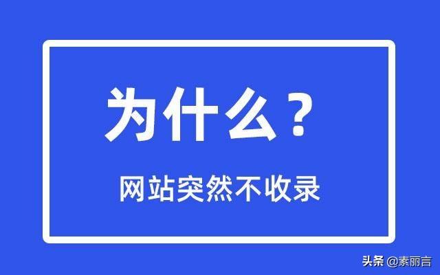 如何查为什么网站不被收录（网站首页一直不收录）