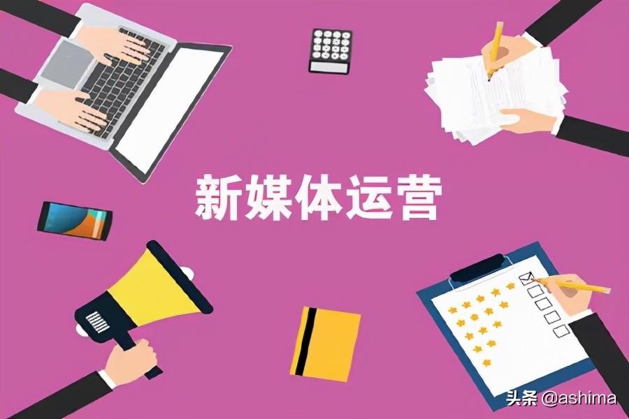 如何优化seo技巧（网站怎样优化seo）