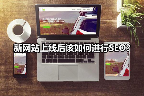 一个新网站怎么做seo（新网站上线之前的优化方案）