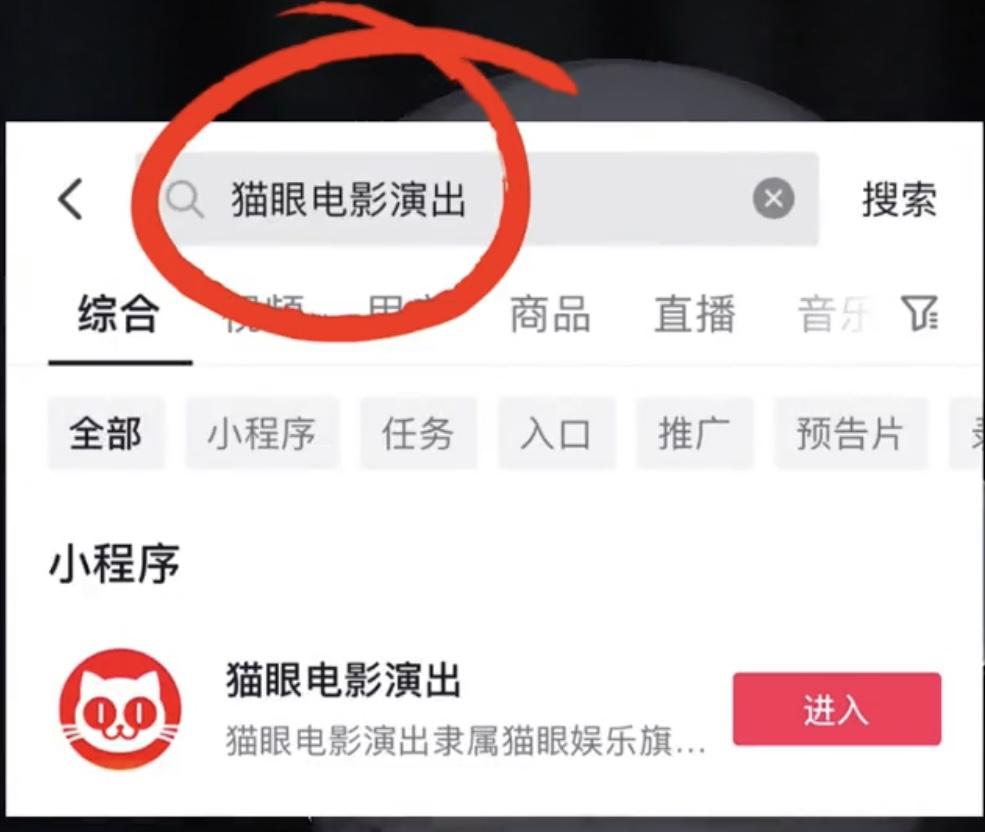 抖音有什么项目可以做（交钱打造抖音可靠吗）