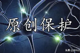 网络时代如何守护原创文章（怎么优化推广自己的网站）