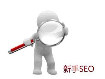 为什么seo做不好的原因（seo 优化技术难度大吗）