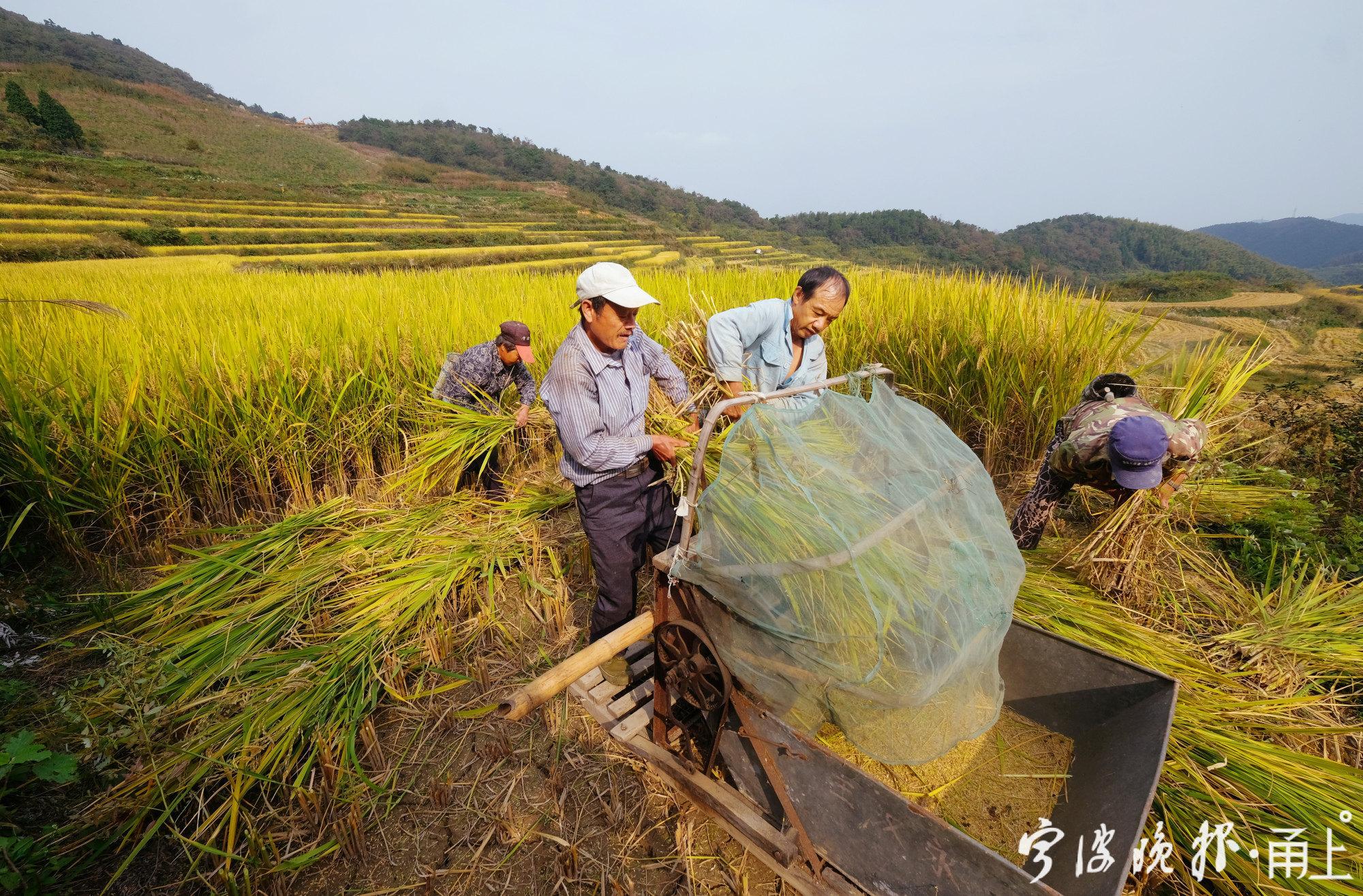 农民丰收节活动照片（抖音农民丰收节系列报道）