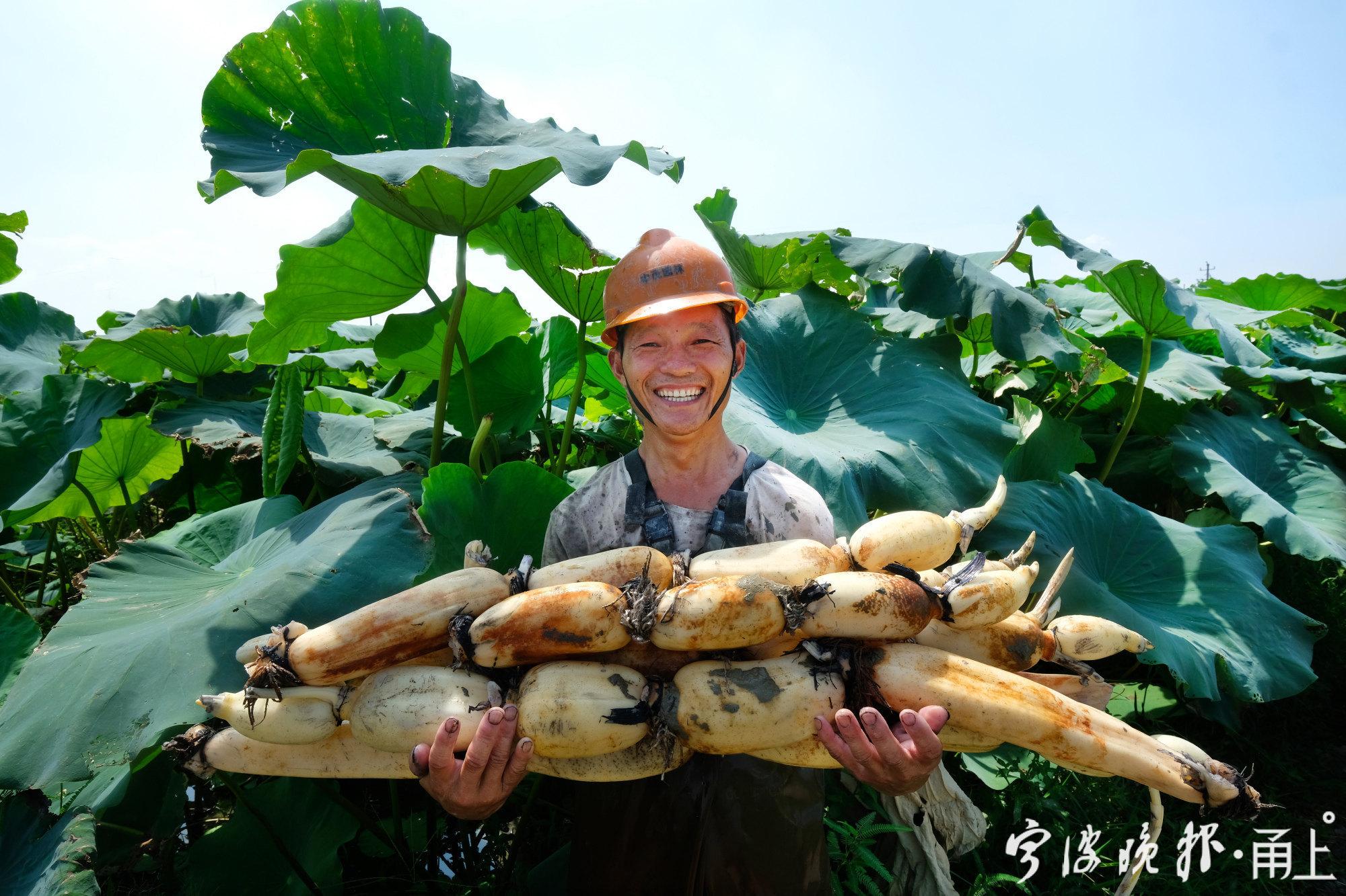 农民丰收节活动照片（抖音农民丰收节系列报道）