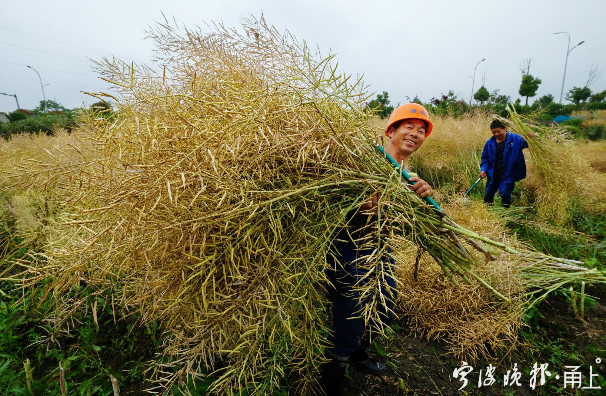 农民丰收节活动照片（抖音农民丰收节系列报道）