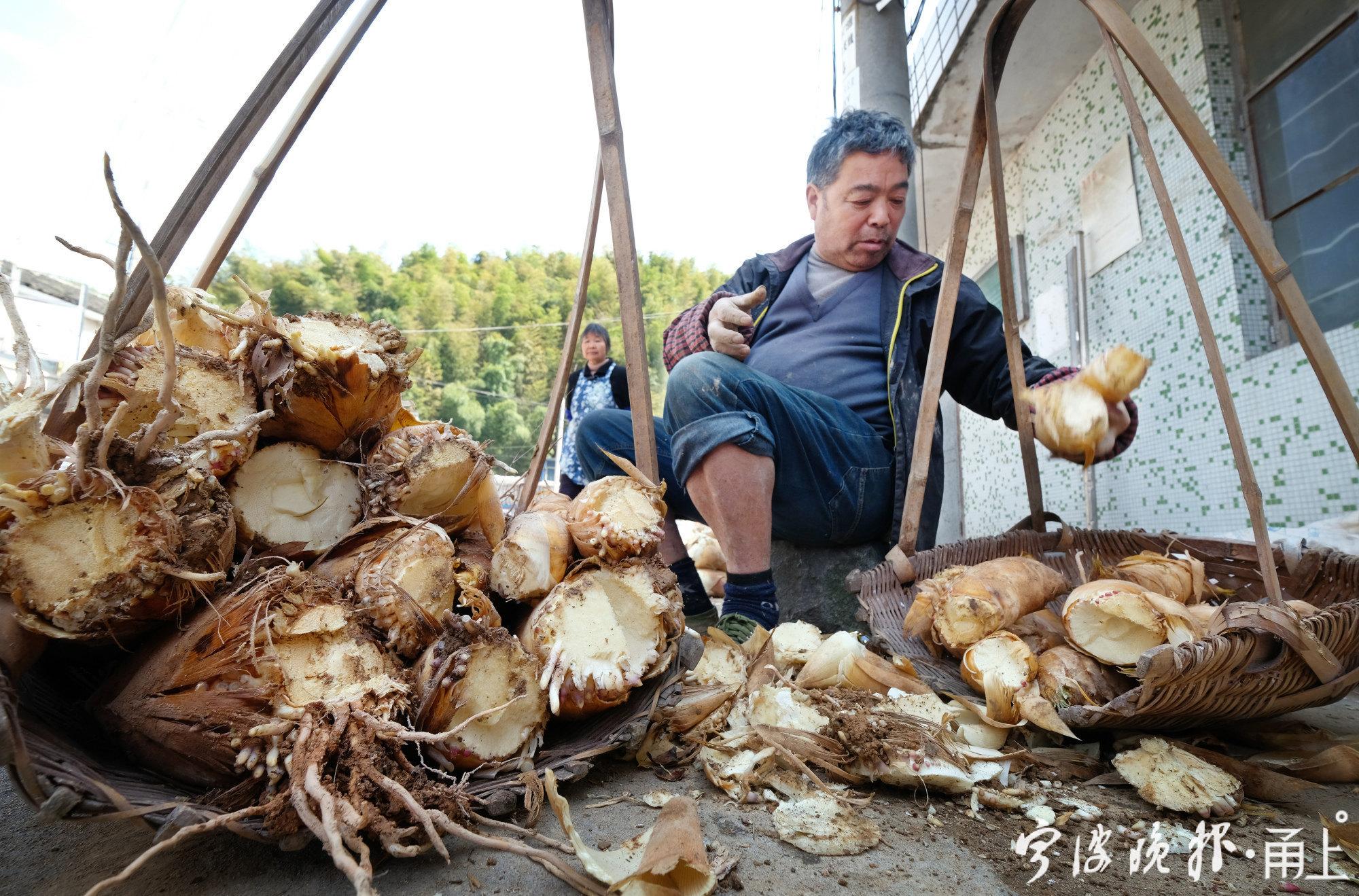 农民丰收节活动照片（抖音农民丰收节系列报道）