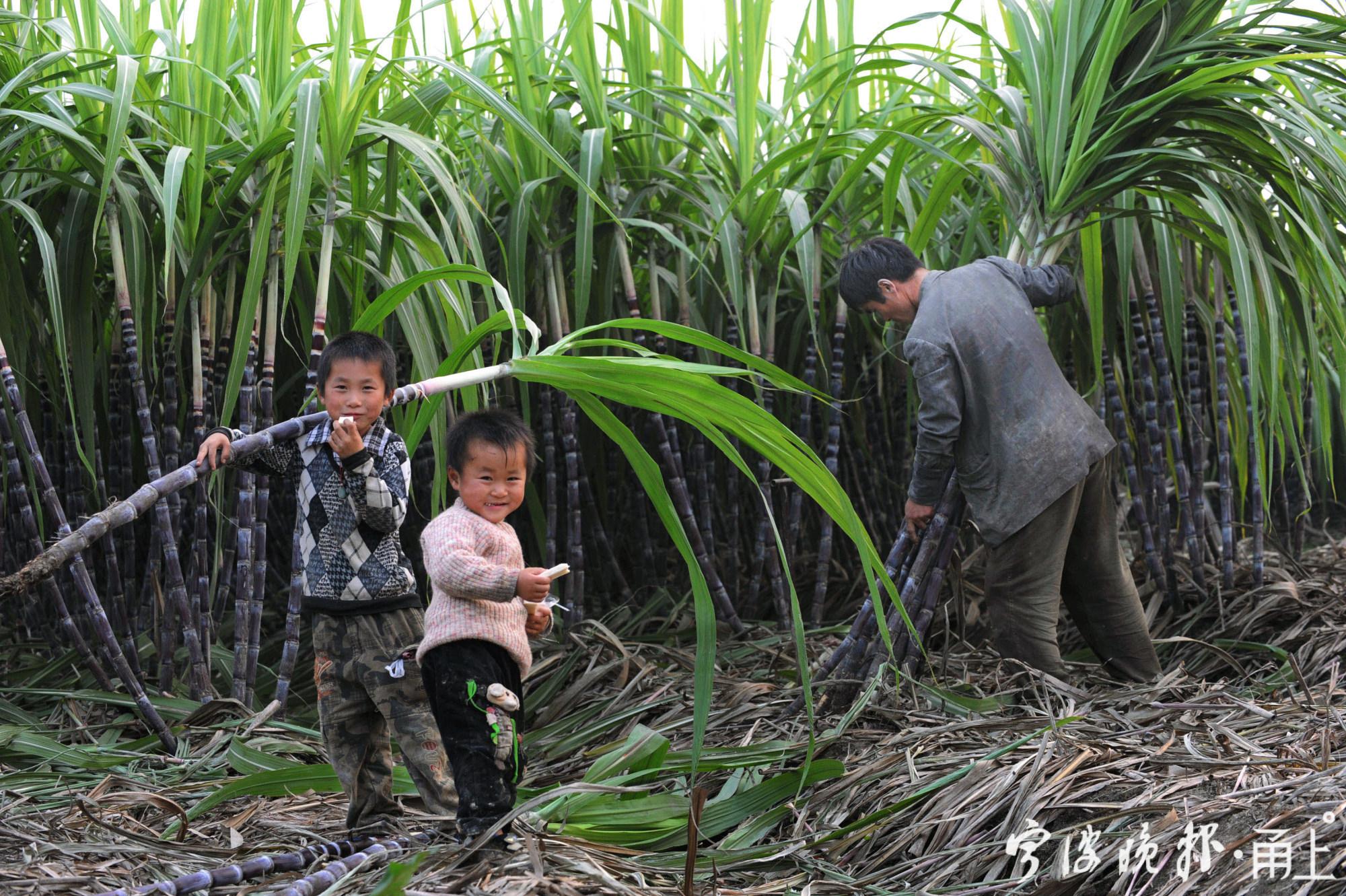 农民丰收节活动照片（抖音农民丰收节系列报道）