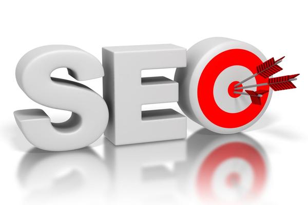 如何获取网站的seo（seo网站优化案例分析）