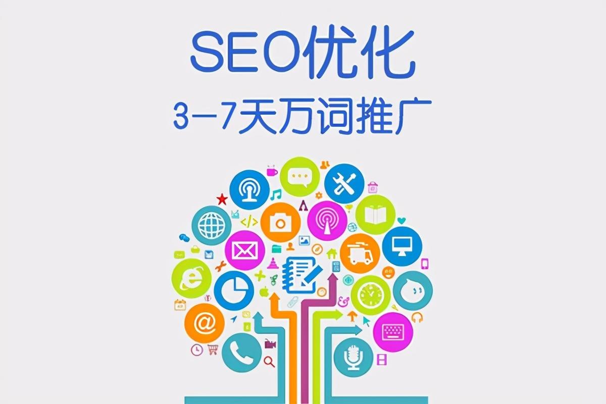 seo应该怎么优化（网站的seo如何优化）