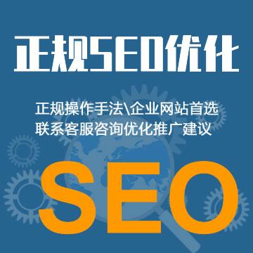 怎么样优化网站seo（教程SEO整站搜索引擎优化）