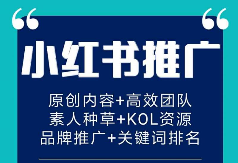 小红书一篇笔记火了（小红书如何推广笔记）