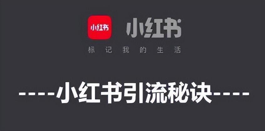 如何判断小红书kol质量（小红书怎么筛选笔记）