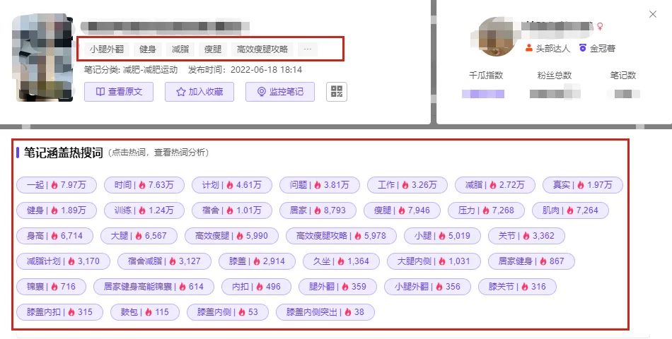 关键词布局的要点有哪些（小红书关键词布局的方式）