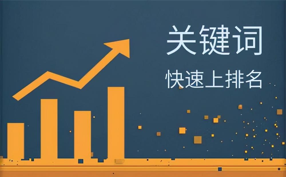 seo网站优化快速排名（如何快速提高网站权重）