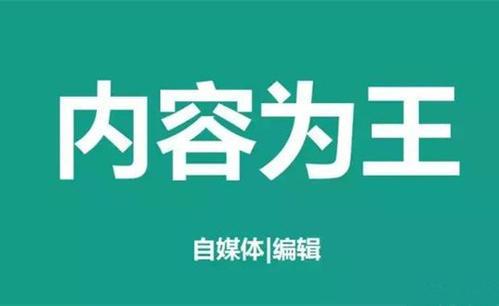 如何提高网站的收录率（如何让网站收录更多）