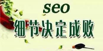 seo网站排名的软件（网站首页优化设计方案）