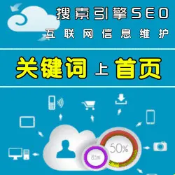 SEO新手如何为新网站进行优化（打造高效SEO策略）