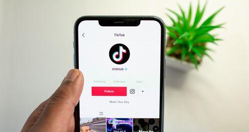 TikTok变现大揭秘（教你如何通过TikTok实现盈利）
