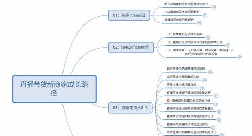 抖音带货攻略（掌握关键技巧，让你成为成功的抖音带货达人）
