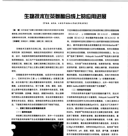 p地址频繁变动，网站是否易被K？（深度分析p地址对网站SEO的影响以及应对策略）
