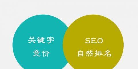 网站SEO排名优化全面解析（掌握网站SEO排名优化的关键技巧与方法）