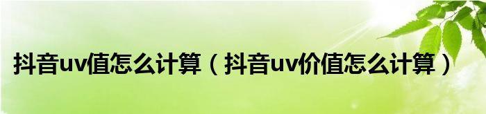 抖音UV价值与客单价并不等同（认识抖音UV价值，提升营销效果）