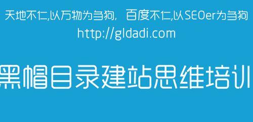 SEO修改标题测试实验步骤及方法（学习正确的SEO技巧，优化你的网站）