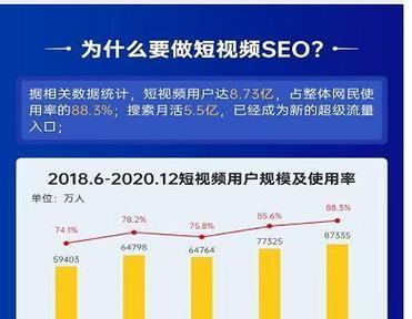 垂直搜索优化（如何在特定领域中提高网站排名？）