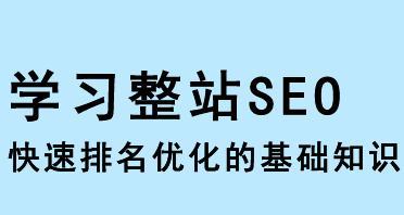 SEO优化行业术语解析（深入了解SEO优化必备知识）