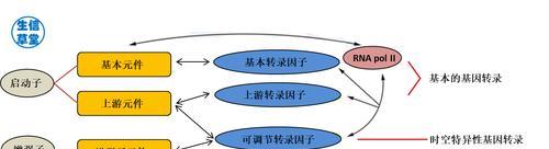 百度时间因子的重要性（如何利用百度时间因子提升搜索引擎排名）