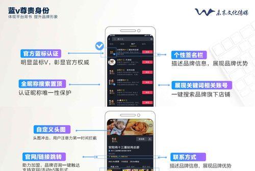 抖音蓝V认证的区别（解析抖音蓝V认证的两种方式，了解如何选择适合自己的认证方式）