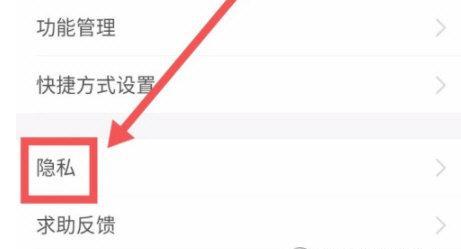 抖音极速版是否会留下访客记录？（探究抖音极速版的隐私政策和用户数据使用）