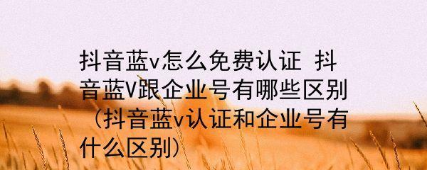 开通蓝V，流量暴增不再是梦！（抖音蓝V认证攻略，让你的账号成为热门达人）