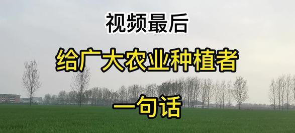 打造***专属抖音平台，践行***战略（如何在抖音上推广***题材，吸引更多人关注）