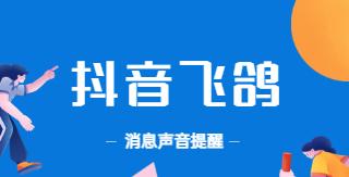 探究抖音飞鸽小时级报表数据的功能与应用（优化抖音营销策略）