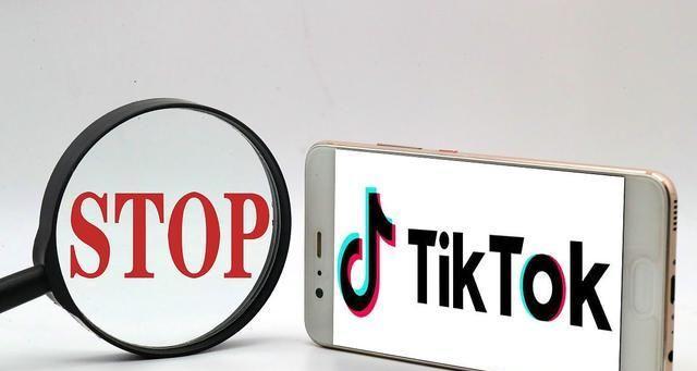 TikTokShop（激励政策，引领市场风潮）
