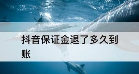 抖音个人小店保证金问题揭秘（不交保证金也能成为抖音小店主的秘诀）